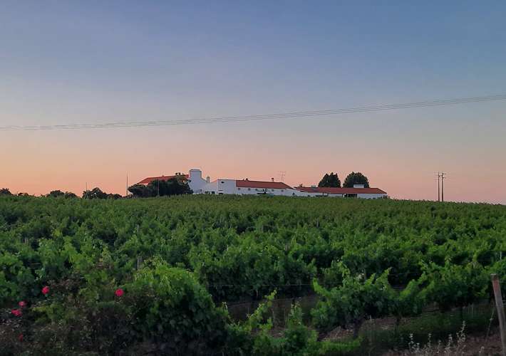 Herdade do Menir