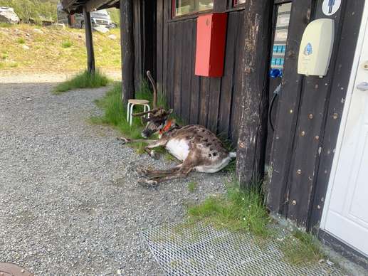 Added a photo to a location