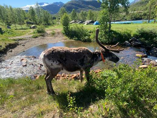 Added a photo to a location