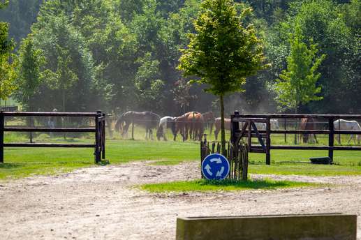 Een foto toegevoegd aan een locatie