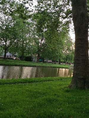 Een foto toegevoegd aan een locatie