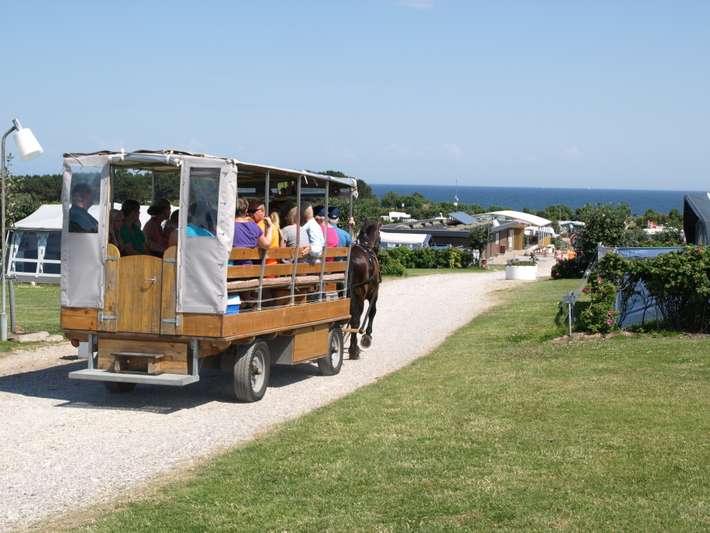 Fornæs Camping
