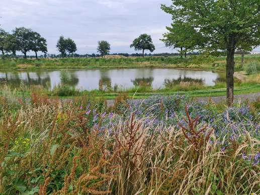 Een foto toegevoegd aan een locatie