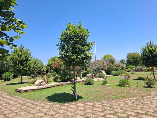 Added a photo to a location
