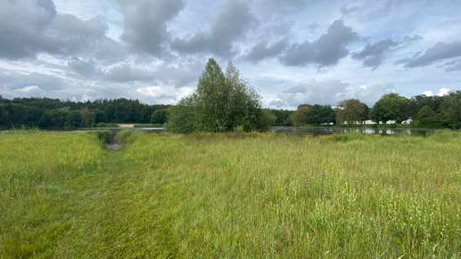 Een foto toegevoegd aan een locatie