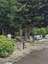 High Range Caravan Park