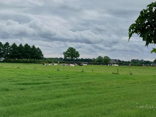 Een foto toegevoegd aan een locatie