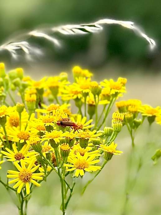 Añadió una foto a una ubicación