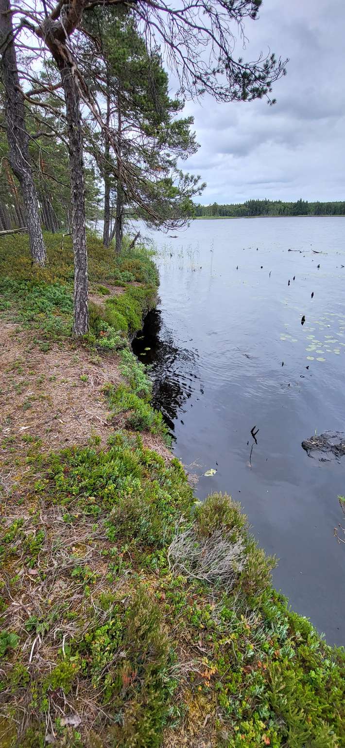 Bredsjömossens naturresevat 