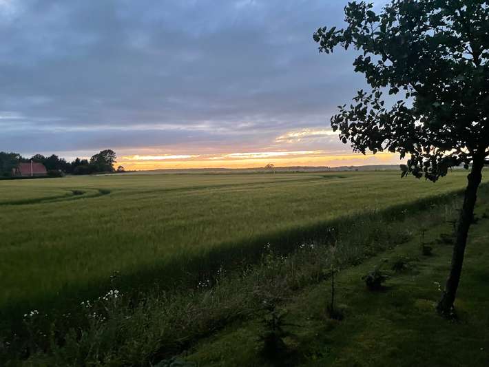 Fjeldecamp.dk