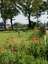Camping Linde Resort