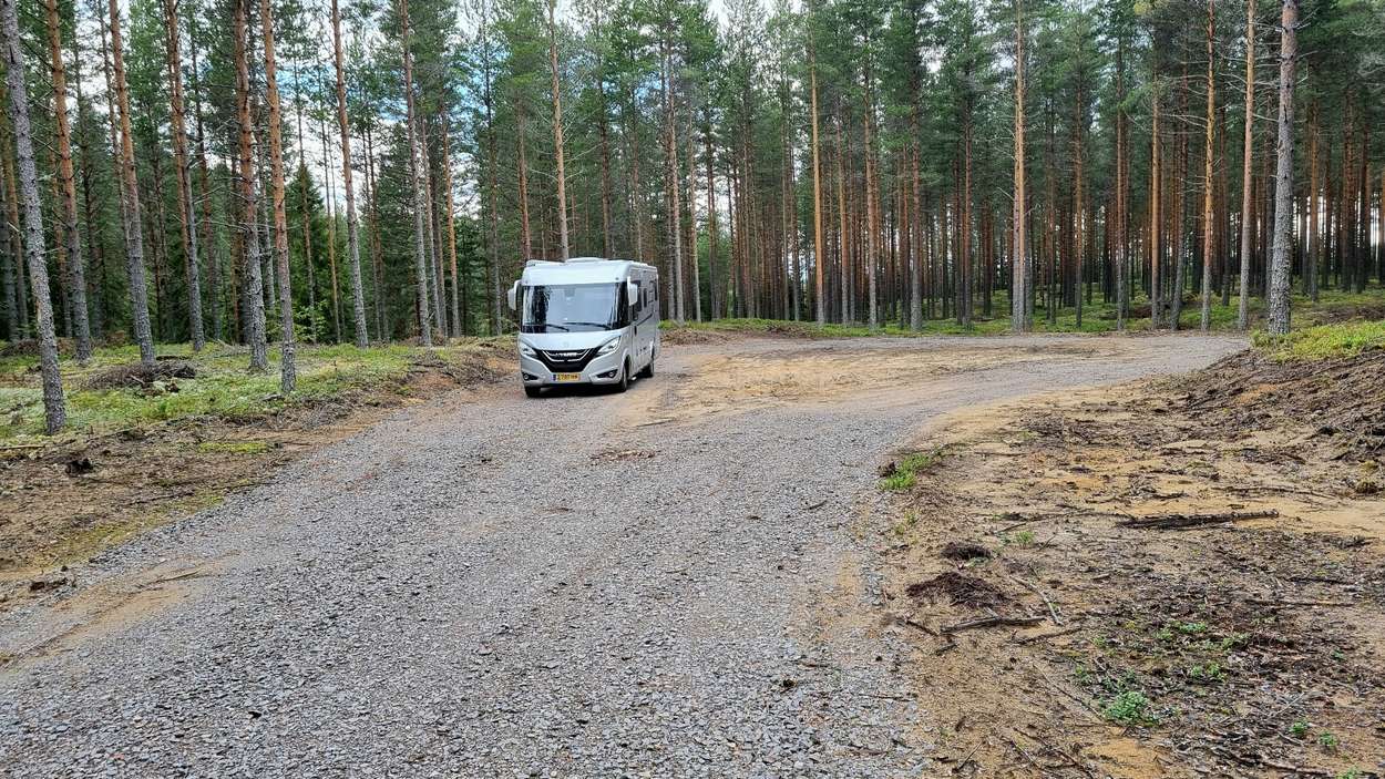Bos bij van Elverum