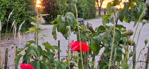Added a photo to a location