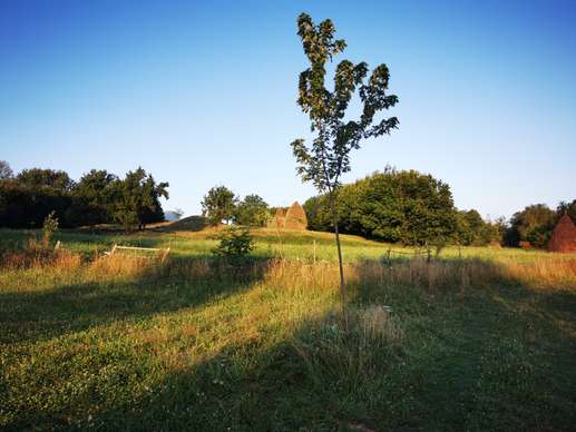 Een foto toegevoegd aan een locatie