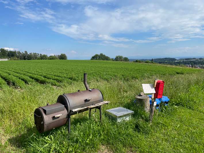 MyCabin -Bodensee Panorama - Alpenblick:  Stellplatz