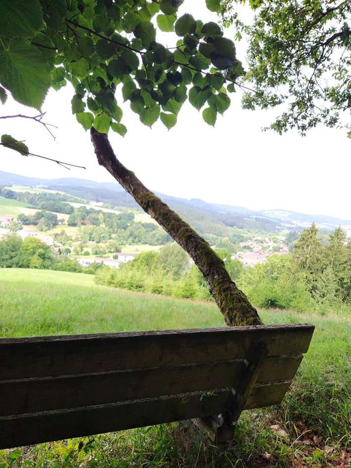 Kleiner Berghof im bayrischen Wald