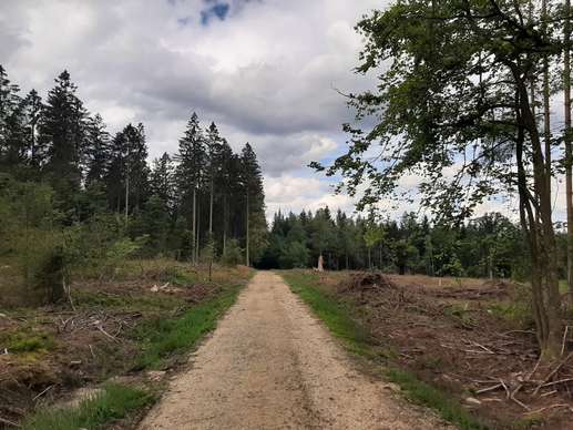 Een foto toegevoegd aan een locatie