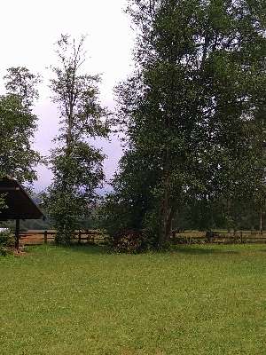 Added a photo to a location