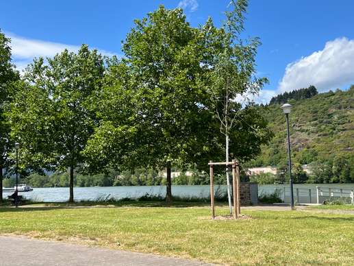 Added a photo to a location