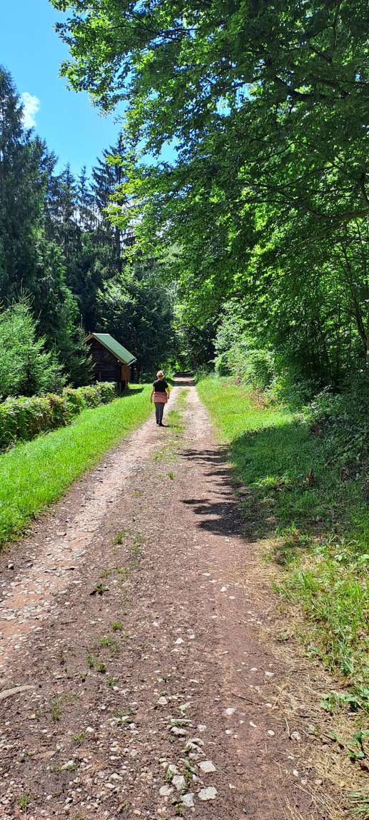 Een foto toegevoegd aan een locatie