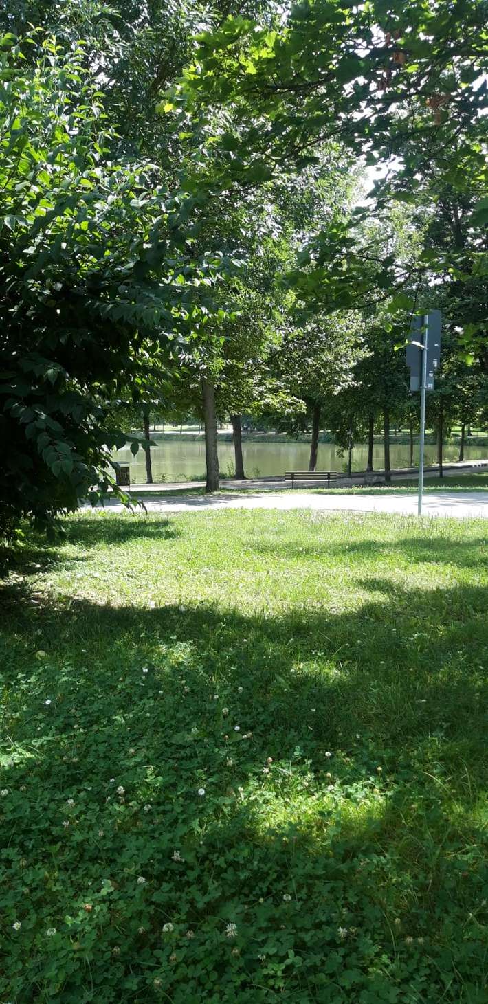 Wohnmobilstellplatz Am Großen Teich