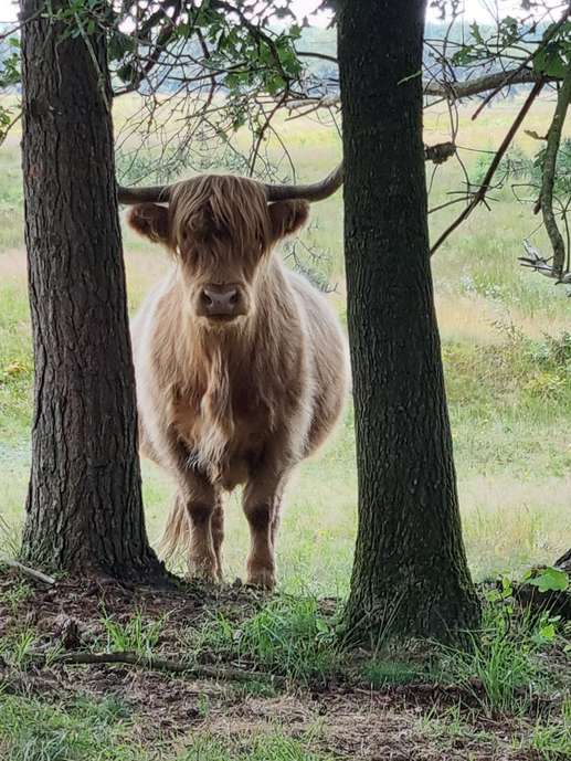 Een foto toegevoegd aan een locatie