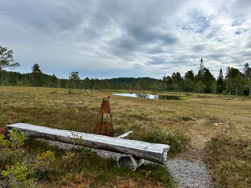 Added a photo to a location