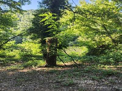 Ajout d'une photo à un emplacement