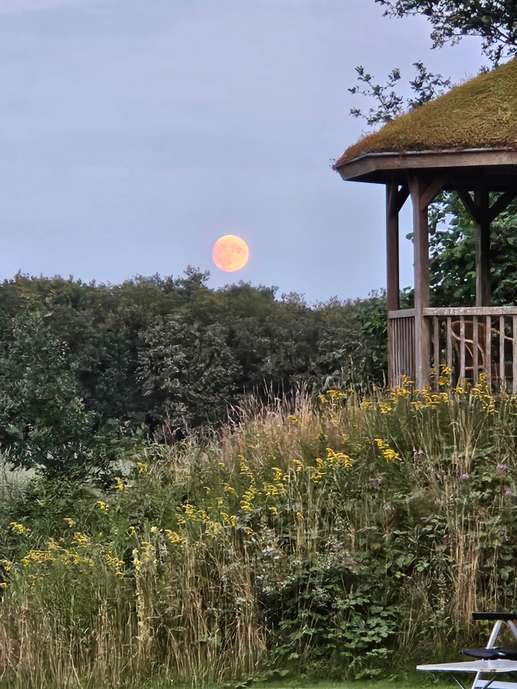 Een foto toegevoegd aan een locatie
