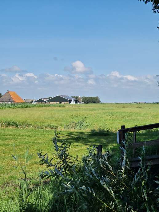 Een foto toegevoegd aan een locatie