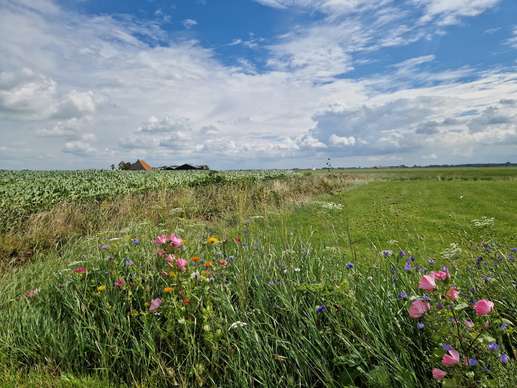 Een foto toegevoegd aan een locatie