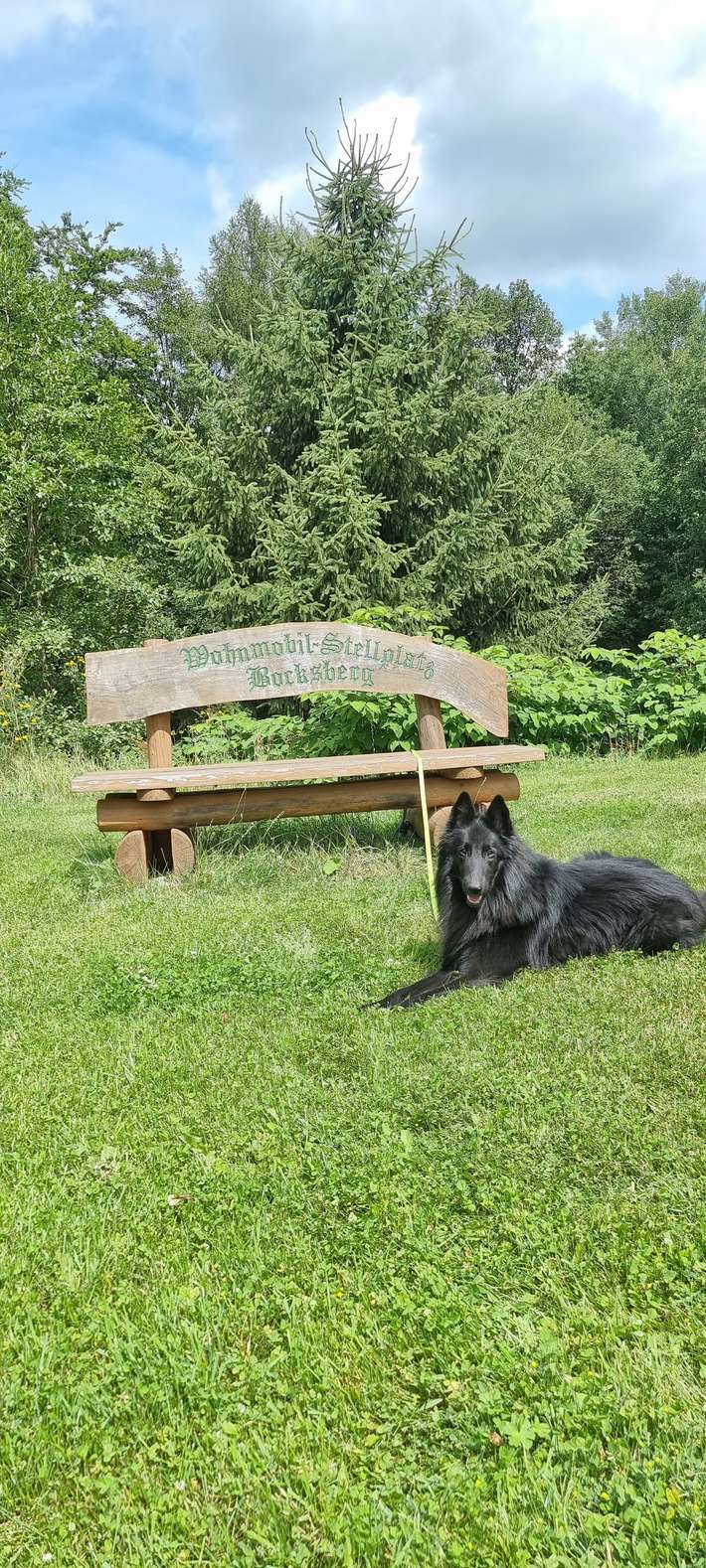 Wohnmobilstellplatz Bocksberg