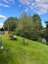 Hilly Springs Campsite