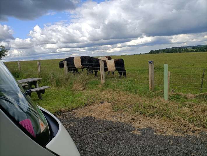 Clanfin Native Breeds
