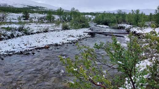 Added a photo to a location
