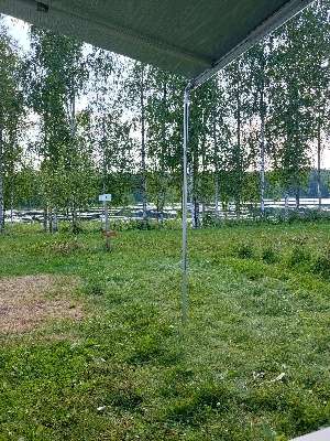 Aggiunta una foto a una posizione