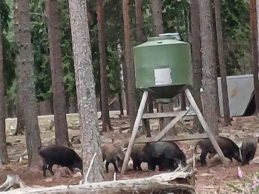 Een foto toegevoegd aan een locatie