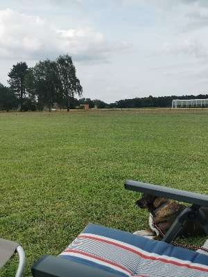 Added a photo to a location
