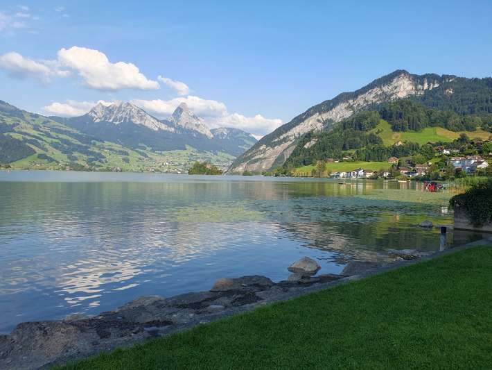 Seematt, Lauerz