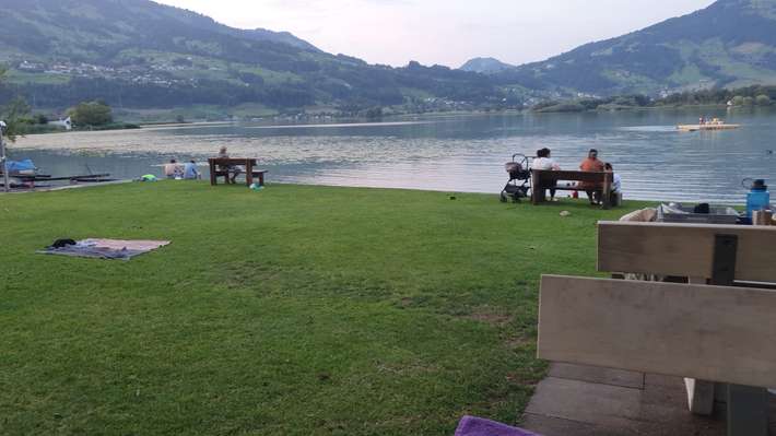Seematt, Lauerz