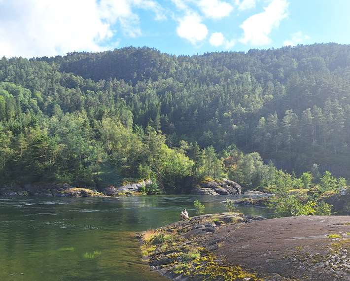 Vassføring Suldalslågen