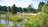 Naturistenvereniging Ostana