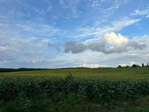 Einem Ort wurde ein Foto hinzugefügt