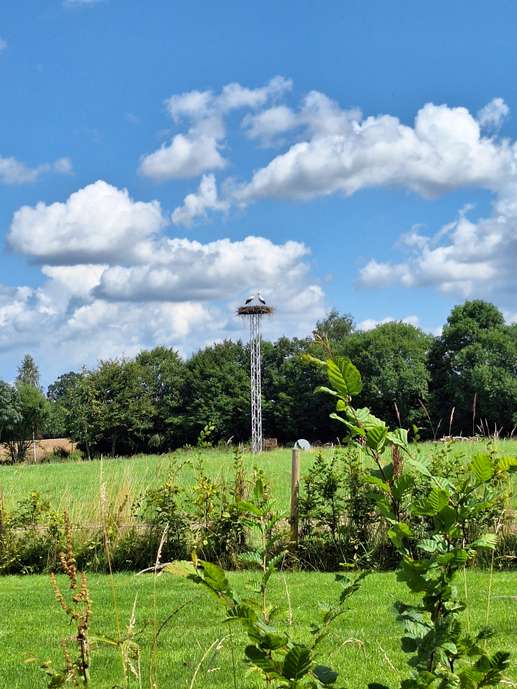Een foto toegevoegd aan een locatie