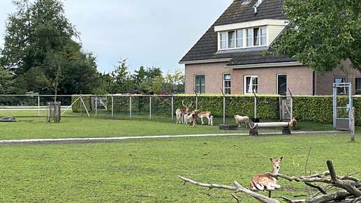 Een foto toegevoegd aan een locatie