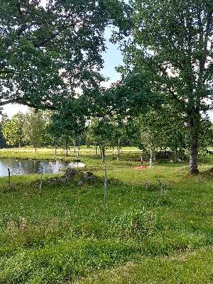 Added a photo to a location