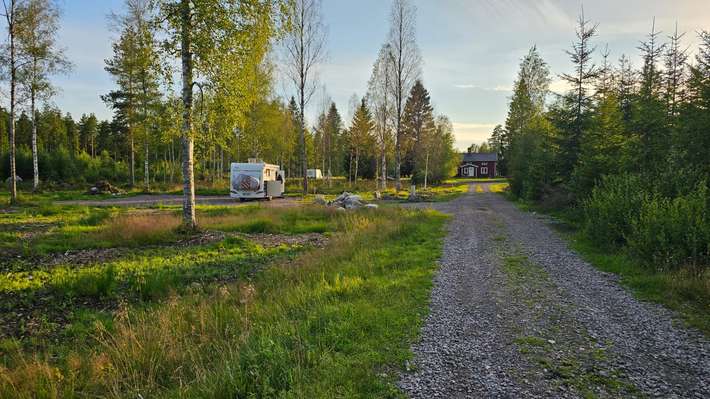 One Lucky Moose stopover