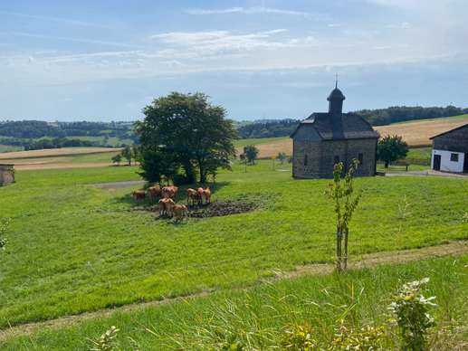Ajout d'une photo à un emplacement