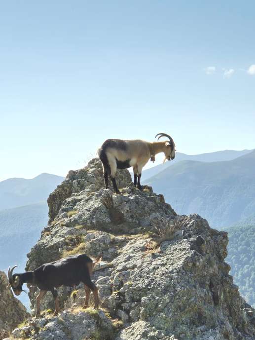 Aggiunta una foto a una posizione