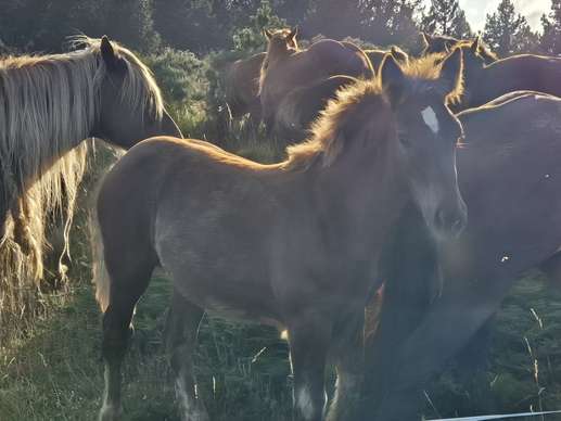 Aggiunta una foto a una posizione